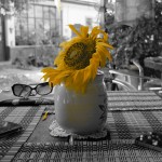 DSCF4165
