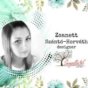 This image has an empty alt attribute; its file name is Zsani_preview-300x300.jpeg